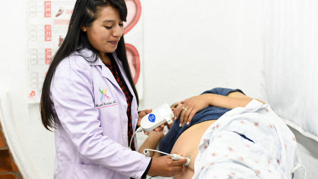 Modelo de partería y las siete competencias en partería profesional