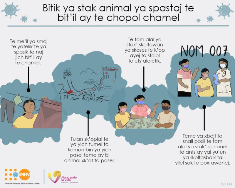Bitik ya stak animal ya spastaj te bit’il ay te chopol chamel