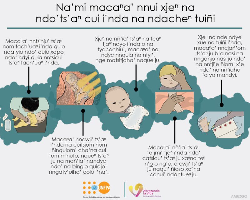 Na’mi macana’ nnui xjen na ndo’ts’an cui i’nda na ndachen tuiñi